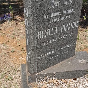 NORTJE Hester Johanna 1923-1972