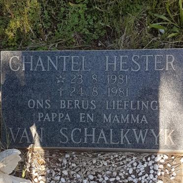 SCHALKWYK Chantel Hester, van 1981-1981