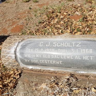 SCHOLTZ C.J. 1938-1968