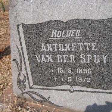 SPUY Antonette, van der 1896-1972