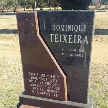 TEIXEIRA Dominique 1981-2003