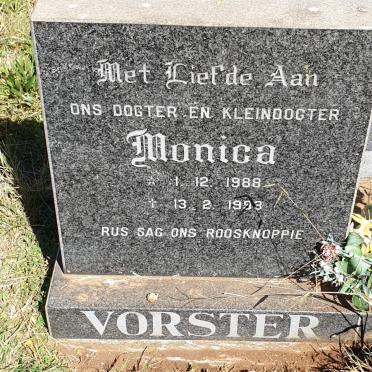 VORSTER Monica 1988-1993