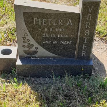 VORSTER Pieter A. 1910-1984
