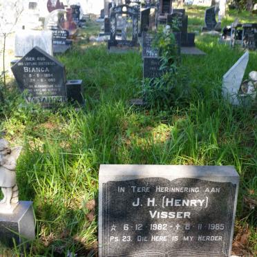 VISSER J.H. 1982-1985