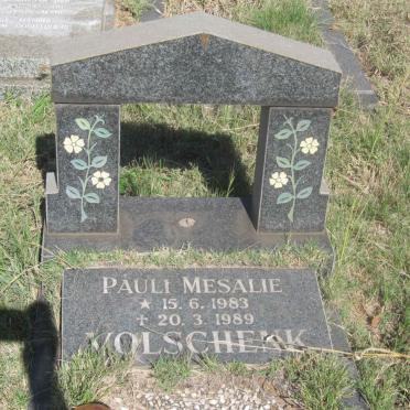 VOLSCHENK Pauli Mesalie 1983-1989