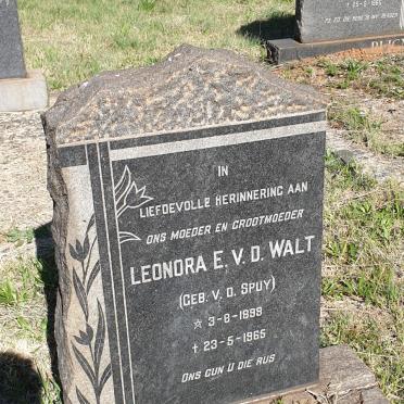 WALT Leonora E., v.d. nee V.D. SPUY 1899-1965