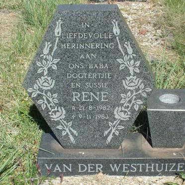 WESTHUIZEN René, van der 1982-1983