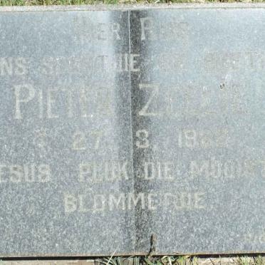 ZEELIE Pieter 1982-1982