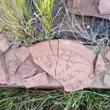 ?FORD ?ilia 19??-1905