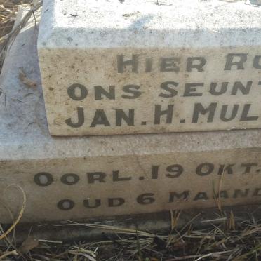 MULLER Jan H. -1919