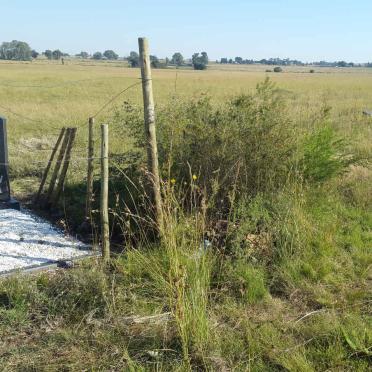 Gauteng, VANDERBIJLPARK district, Sebokeng, Rietspruit 535, N1 High Way, farm cemetery
