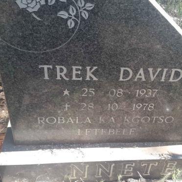 NNETE Trek David 1937-1978