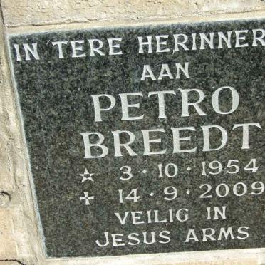 BREEDT Petro 1954-2009
