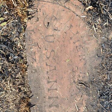 ELS Susanna Elizabeth