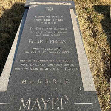 MAYEF Ellie Herman -1977