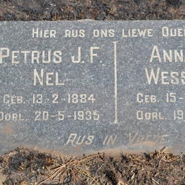 NEL Petrus J.F. 1884-1935 :: WESSELS Anna P. 1887-1959