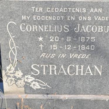STRACHAN Cornelius Jacobus 1875-1940