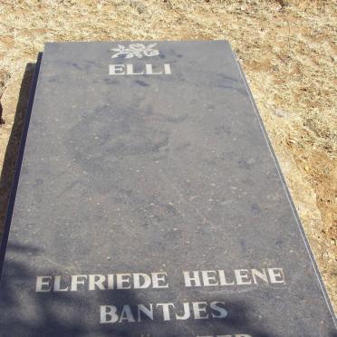 BANTJES Elfriede Helene nee FORSTER 1913-1997