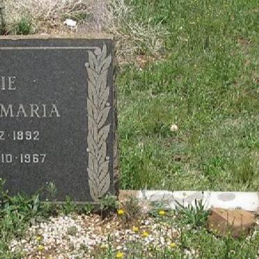 ? David Benjamin 1888-1963 &amp; Elsie Josina Maria 1892-1967