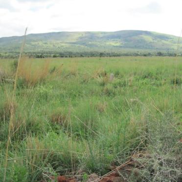6. Overview