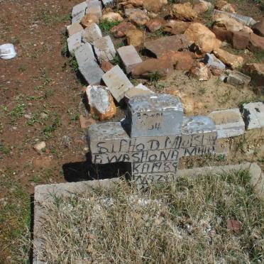 Gauteng, VEREENIGING district, Alberton, Zwartkopjes 143_3, farm cemetery