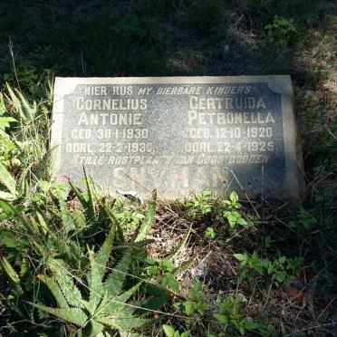 SNYMAN Cornelius Antonie 1930-1930 :: SNYMAN Gertruida Petronella 1920-1925
