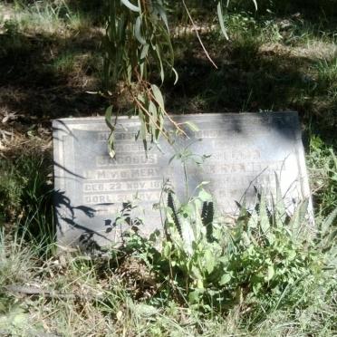 MERWE Jacobus L.M., van der 18??-19?? &amp; ?