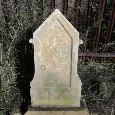 Gauteng, VEREENIGING district, Vaaldam, Blesbokspruit 465, farm cemetery_4