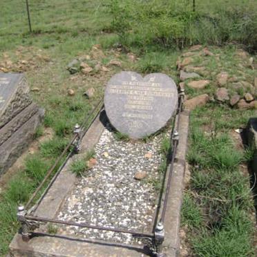 Gauteng, VEREENIGING district, Meyerton, Welverdiend 379 IR, Plot 41, farm cemetery