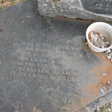 WERNER Johannes Jacobus Petrus 1937-2000