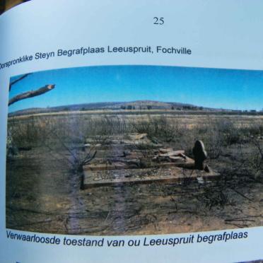 Gauteng, MERAFONG district, Fochville, Leeuwspruit 148, Leeuspruit, farm cemetery