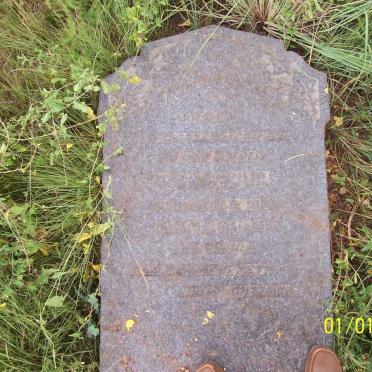 Gauteng, MERAFONG district, Fochville, Buffelsdoorn 143_1, farm cemetery