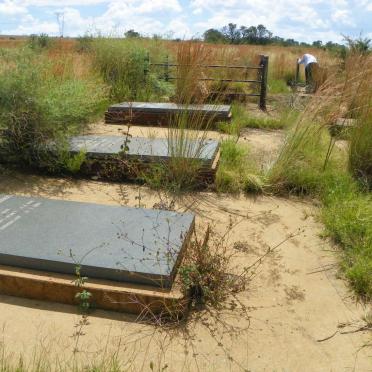 Gauteng, WESTONARIA district, Doornkloof 350, Doringkloof, farm cemetery_1