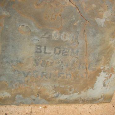 BLOEM 1882-