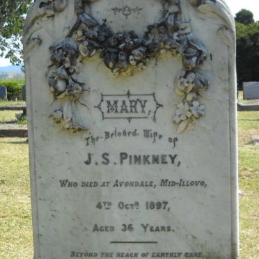 PINKNEY Mary -1897