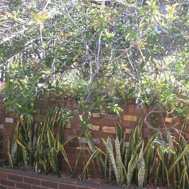 3. Old Memorial Wall