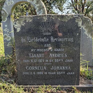 ? Tjaart Andries -1977 & Cornelia Johanna -1980