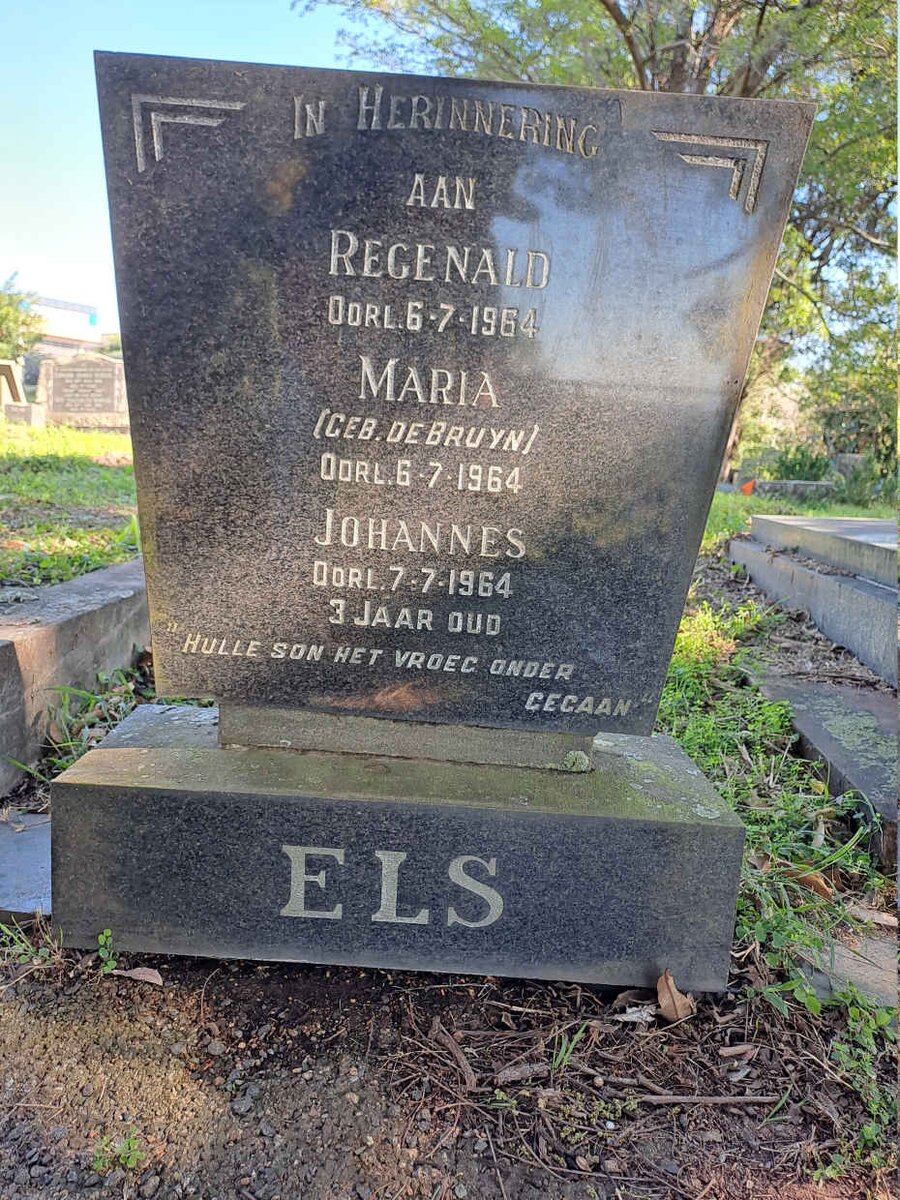 ELS Regenald -1964 :: ELS Maria nee DE BRUYN -1964 :: ELS Johannes -1964