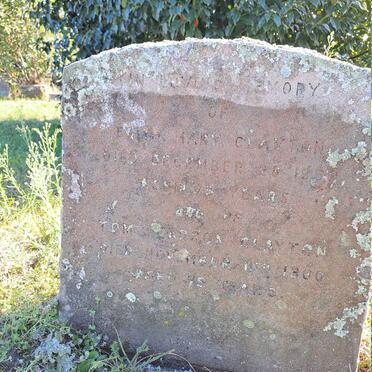 CLAYTON Tom Pearson -1960 & Edith Mary -1952