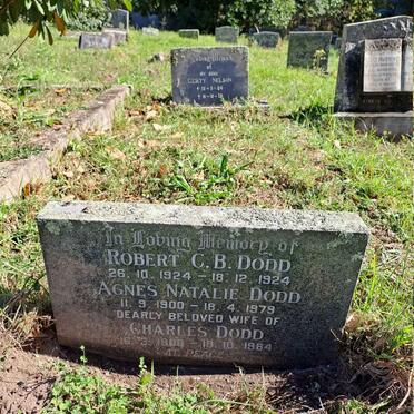 DODD Charles 1900-1984 & Agnes Natalie 1900-1979 :: DODD Robert C.B. 1924-1924
