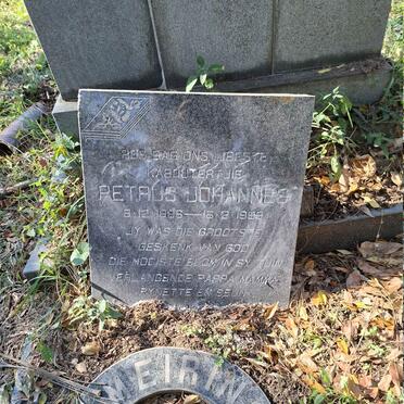 MEIRING Petrus Johannes 1986-1989