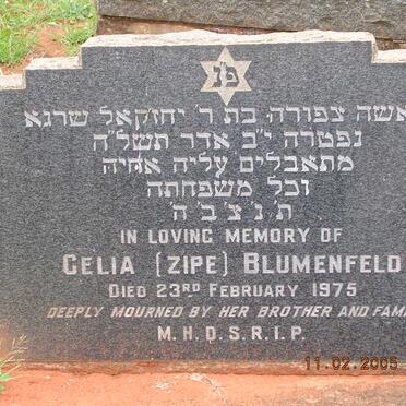 BLUMENFELD Celia -1975