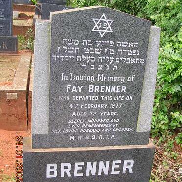 BRENNER Fay -1977