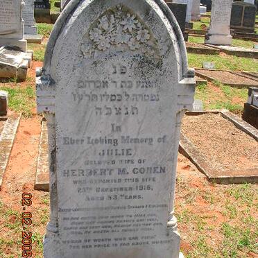 COHEN Julie -1916
