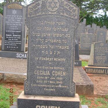 COHEN Cecilia 1889-1945