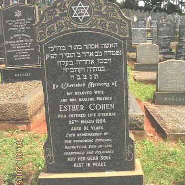 COHEN Esther -1954