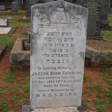 FIENBERG Joseph Hyam -1933