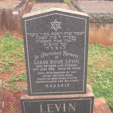 LEVIN Sarah Rosie -1966