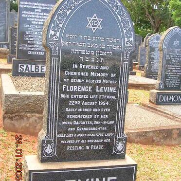 LEVINE Florence -1954