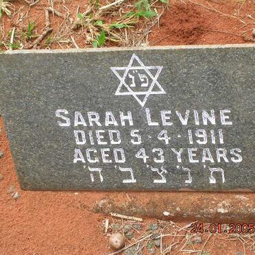 LEVINE Sarah -1911